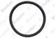 VAILLANT-Dichtung-Silikon-DN-63-MAG-turbo-250-10-W-u-w-Vaillant-Nr-981110 gallery number 1